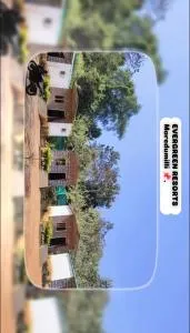 Evergreen resorts - Kutravāda