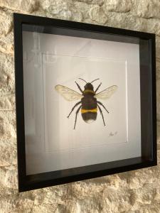 Maisons de vacances Bumblebee Cottage : photos des chambres