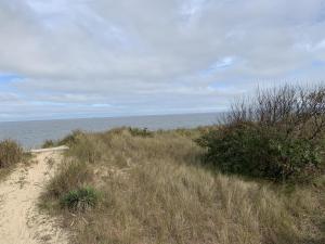 Beach Front on the Bay on the Dunes bungalow