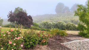 Vista Vine Cottage