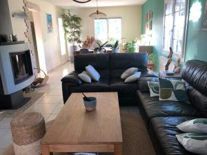 Villa avec piscine dans les oliviers