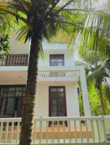 Dinuri villa