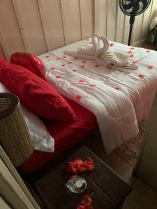 Santo Gole Ilha Do Mel