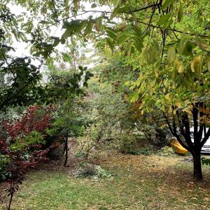 Huala playa y montaña