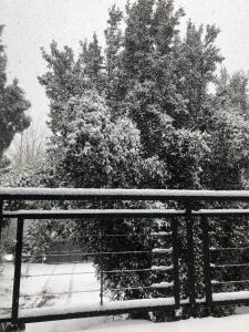 Huala playa y montaña