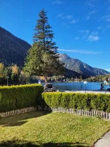 Mon petit nid - 奥西耶尔