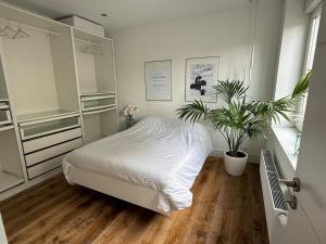 Beautiful house in calais