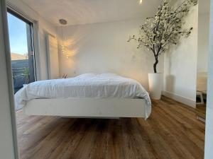 Beautiful house in calais