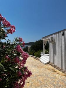 BUQEZ VILLAS - Villa 37