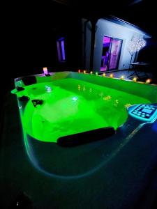 Villas Mini VILLA Coup de Coeur avec Jacuzzi et Sauna Clim Jardin clos et parking sur place : photos des chambres