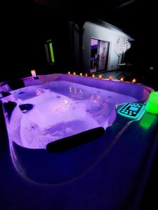 Villas Mini VILLA Coup de Coeur avec Jacuzzi et Sauna Clim Jardin clos et parking sur place : photos des chambres