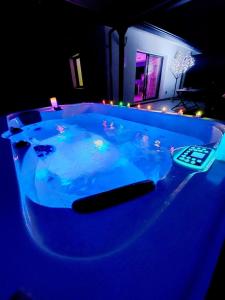 Villas Mini VILLA Coup de Coeur avec Jacuzzi et Sauna Clim Jardin clos et parking sur place : photos des chambres