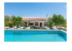 Villa Dehesa Olive - Lucena