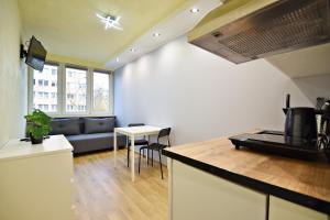 Skorochód Majewskiego 15 studio B