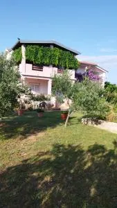 Apartment Ema - 马斯莱尼察