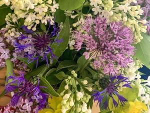 4 person holiday home in HALLSTAVIK