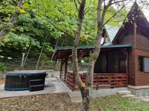 Cabana Anita - Zimţi