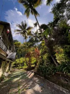 Firefly by Niharaa - Munnar