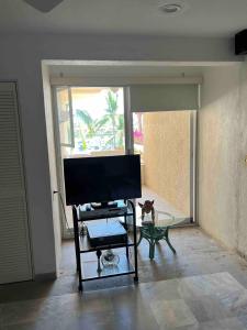 Spectacular apartment in Marina Ixtapa