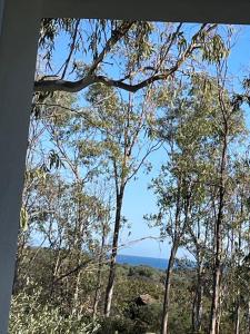 Casa Su Catreathu img34