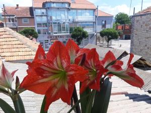 HOTEL Crystal Lights