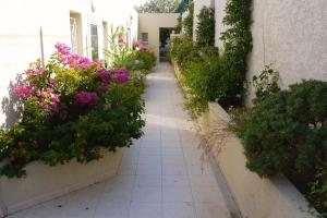 Résidence les Eucalyptus, Appart à 500m de la mer et du centre - 4hvězdičkové hotely ve městě LʼÎle-Rousse