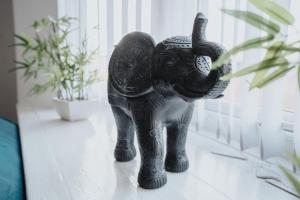 Beautiful apartment dos - free public parking