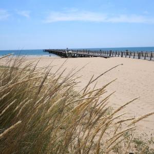 Appartements Bel Appartement proche des plages et commerces : photos des chambres