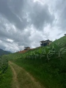 La Gloria Jardín - Verdún