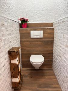 Biobergbauernhof Bergzeit Apartment in Goldegg