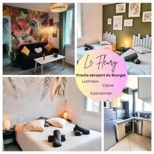 Le Fleury appartement lumineux situé idéalement entre Paris et les aéroports du Bourget et CDG - 勒布朗-梅尼尔