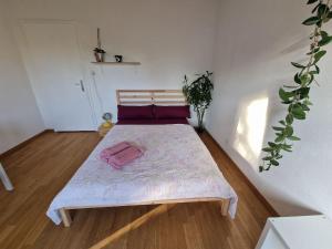 Bright and cozy apartment-central