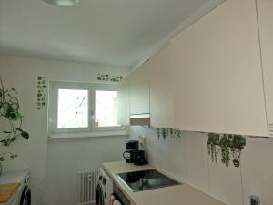 Bright and cozy apartment-central