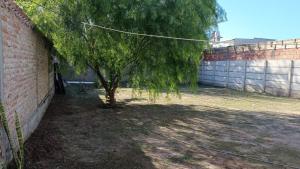 Los Pinos de Horizonte