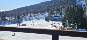 Appartements LA PETITE LUGE studio sur les pistes centre station Super-Besse : photos des chambres