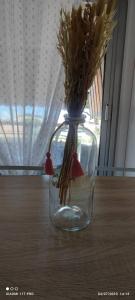 studio proche gare et ville