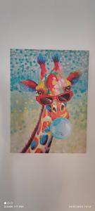 studio proche gare et ville