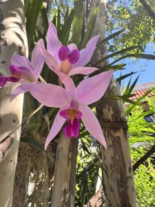 Rincón de la Sierra