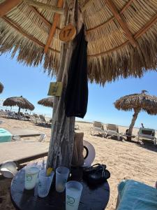 Luxurious 2-Bedroom Condo