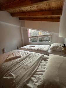 The cabins Project Σπίτια στο δάσος