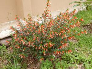 Casa Higospampa, 2 Floors Up to 7 Residents