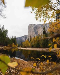 Cozy Yosemite Cabin with Hot Tub in the Pines