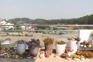 Khách sạn Ánh Sáng - Light House