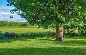 Nice Home In Venon With Wifi