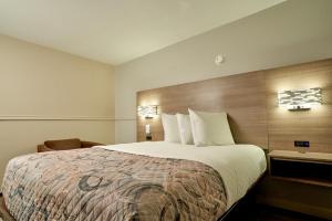 Garden Queen Room room in Family Garden Inn & Suites