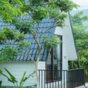 Hương Cỏ Villa Venuestay
