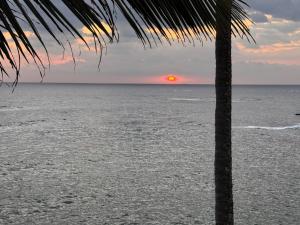 Secret Bay Resort Weligama
