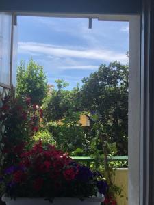 Il giardino segreto