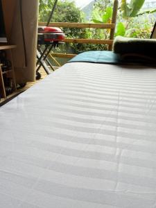 Glamping Colibrí, bosque vecino y vista a la montaña al mismo tiempo