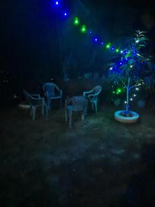 Ayo Villa Weligama